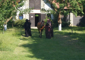Stadnina koni w Marcinkowie 