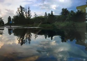 Praca konkursowa