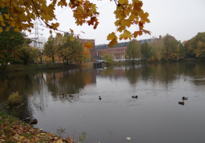 Praca konkursowa