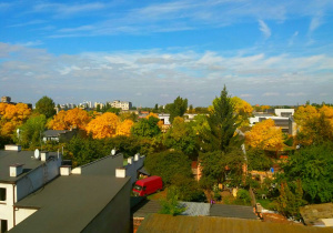 Praca konkursowa